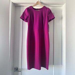 🩷💜 NWT! Boysenberry CALVIN KLEIN Puff Sleeve Sheath Dress - Size 10